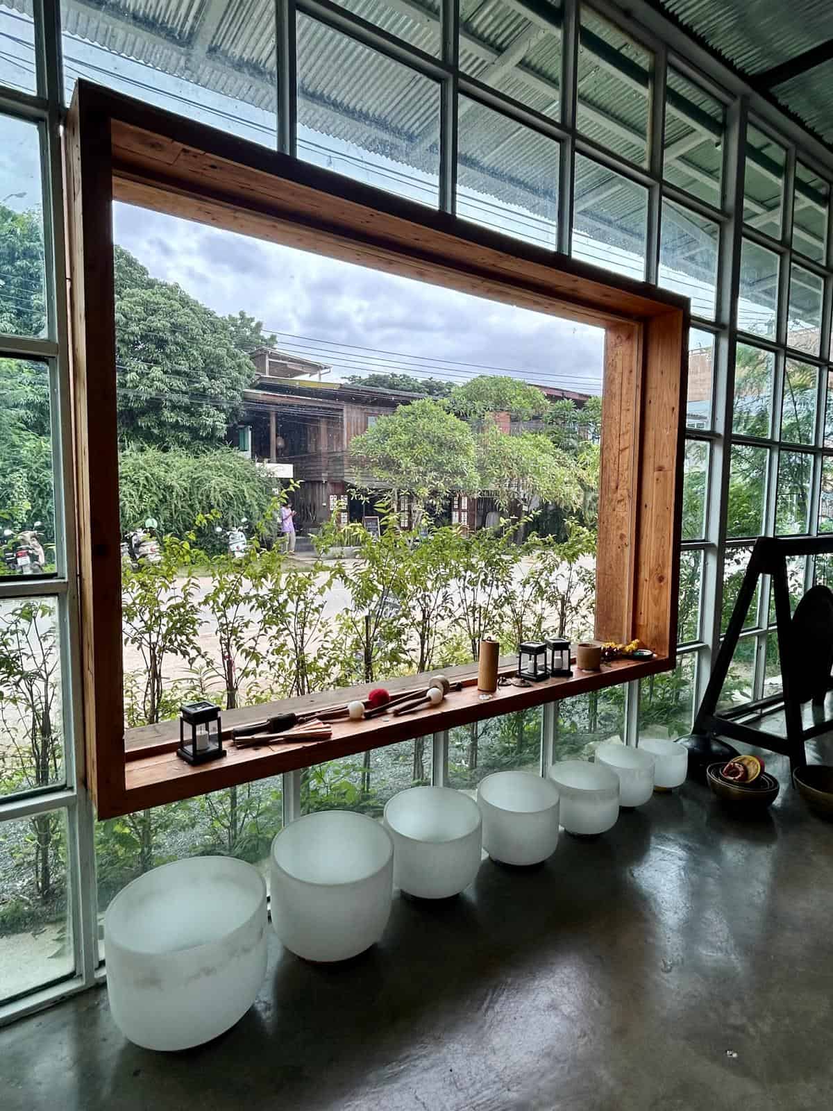 Bodhi Tree Yoga Pai